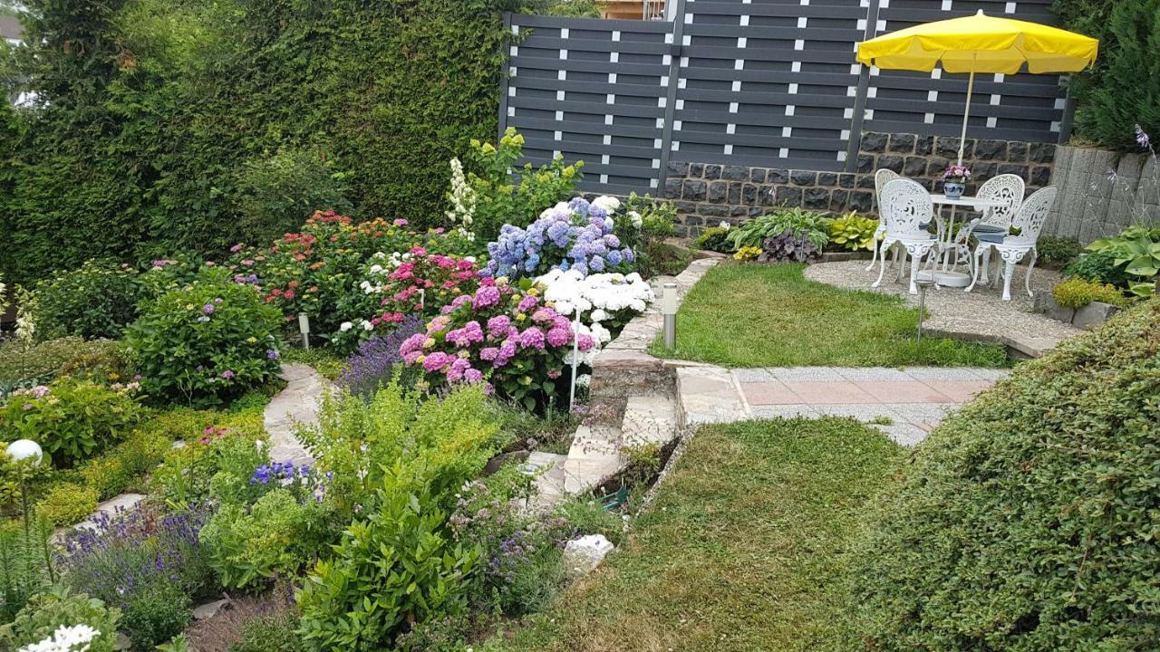 Brillant Am Nationalpark Hunsrueck-hochwald Apartment *